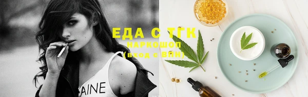 индика Армянск
