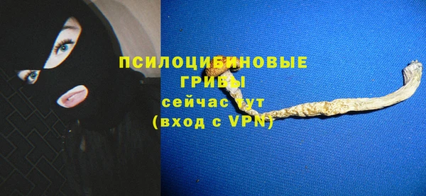 кокс Арсеньев