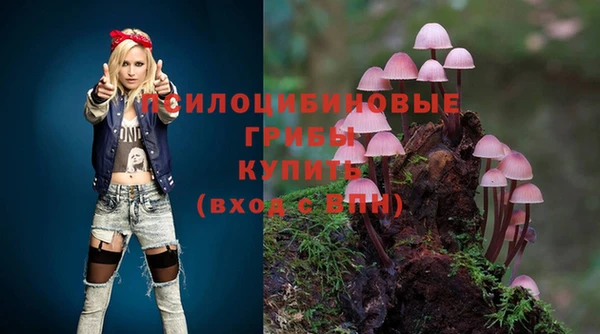 кокс Арсеньев